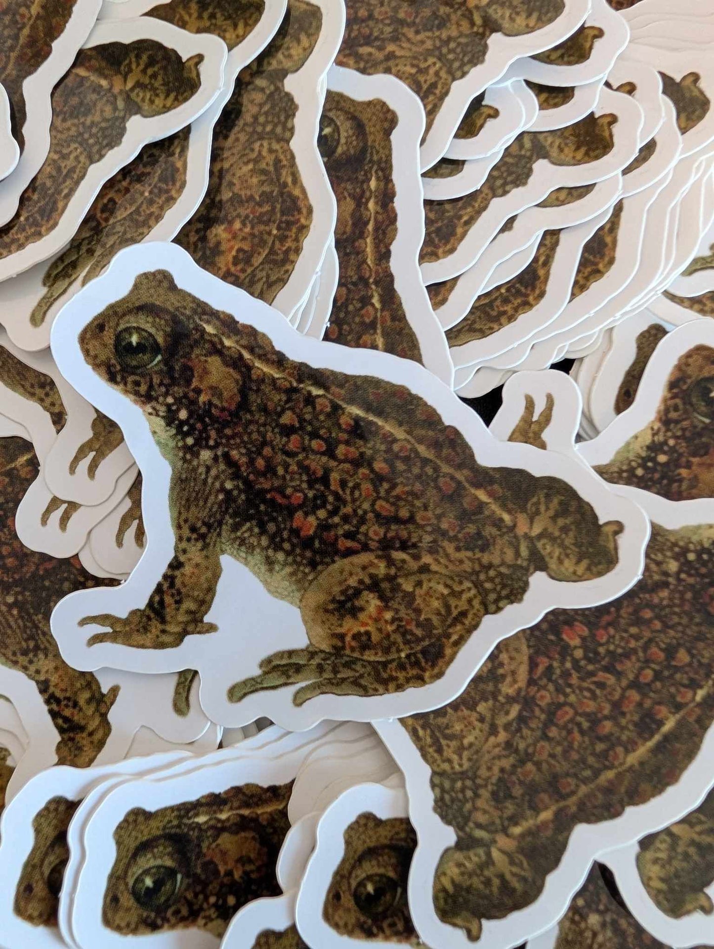 This Toad Sticker