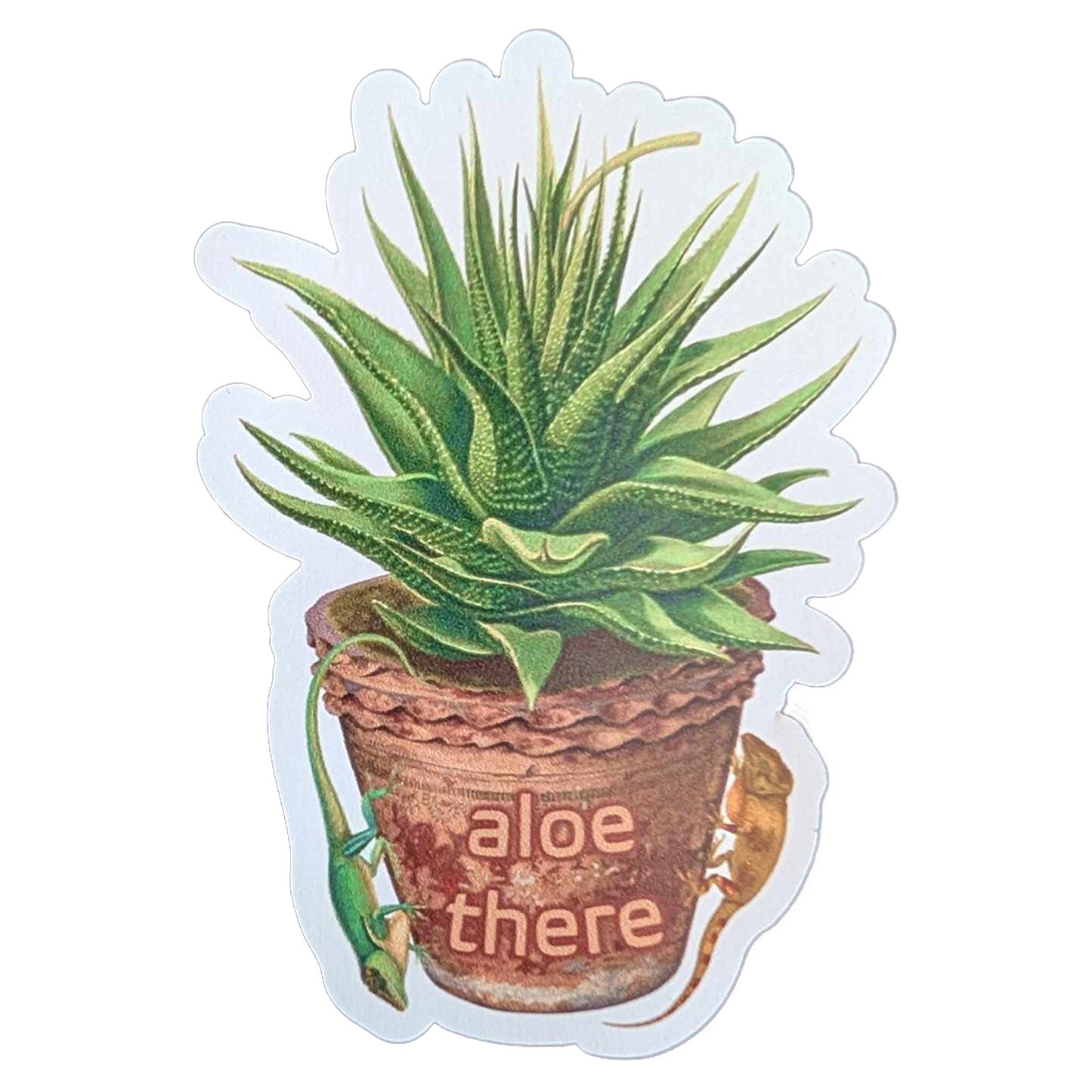 Aloe There Magnet