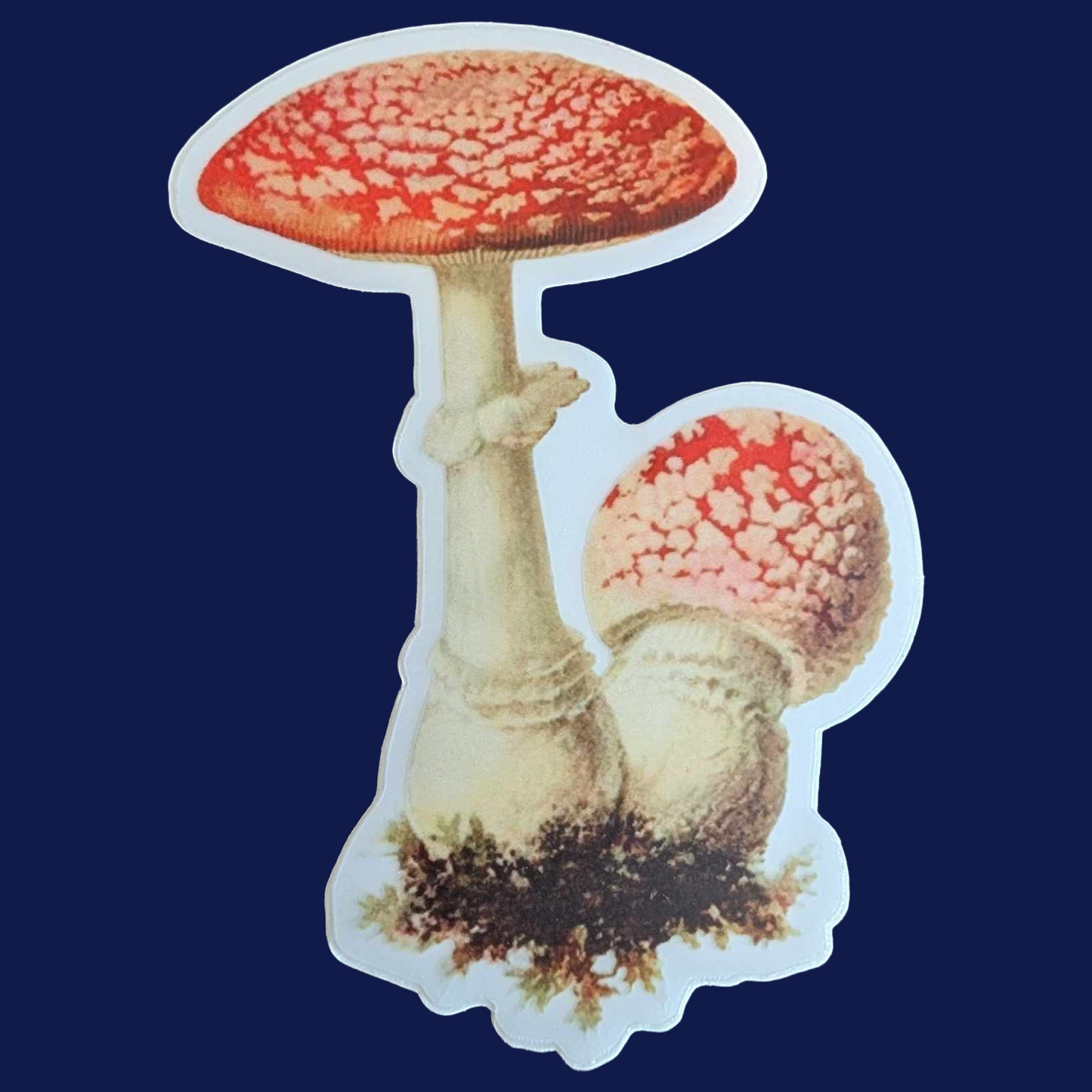 Another Mushroom Sticker!!!