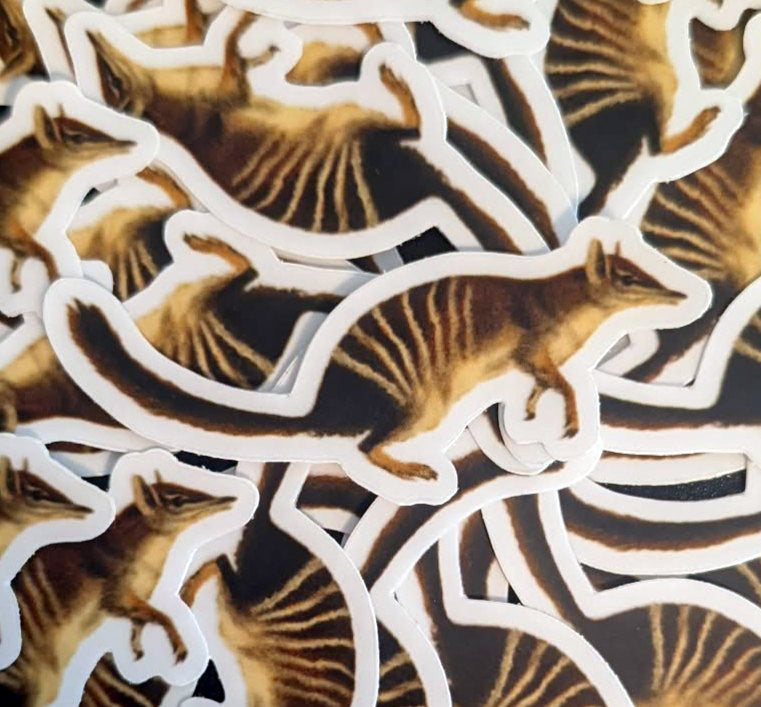 Numbat Sticker
