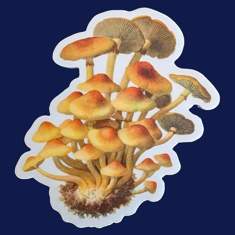 Mushroom Sticker