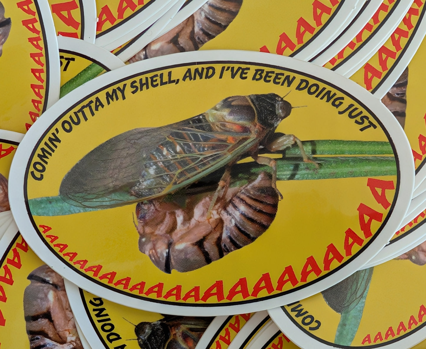Comin' Out of My Shell and I've Been Doing Just AAAAAAAAAAAAAAAAAAAAAAAAAAAAAAAAAAAAAAAAAAAAAAAAAAAA