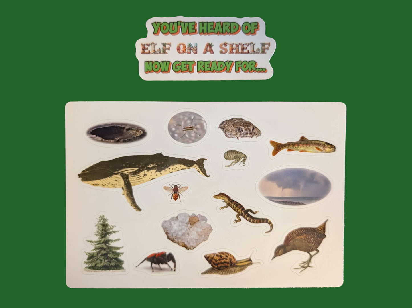 You've heard of Elf on a Shelf, now get ready for... | Pack