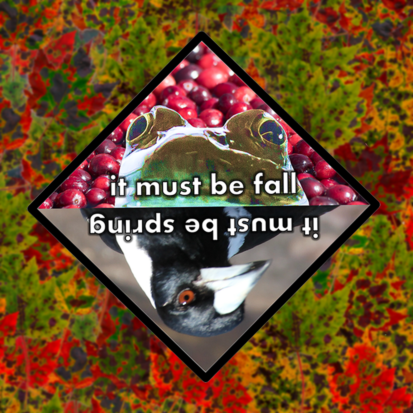 Magnet and Stickers, it must be fall! | Pack