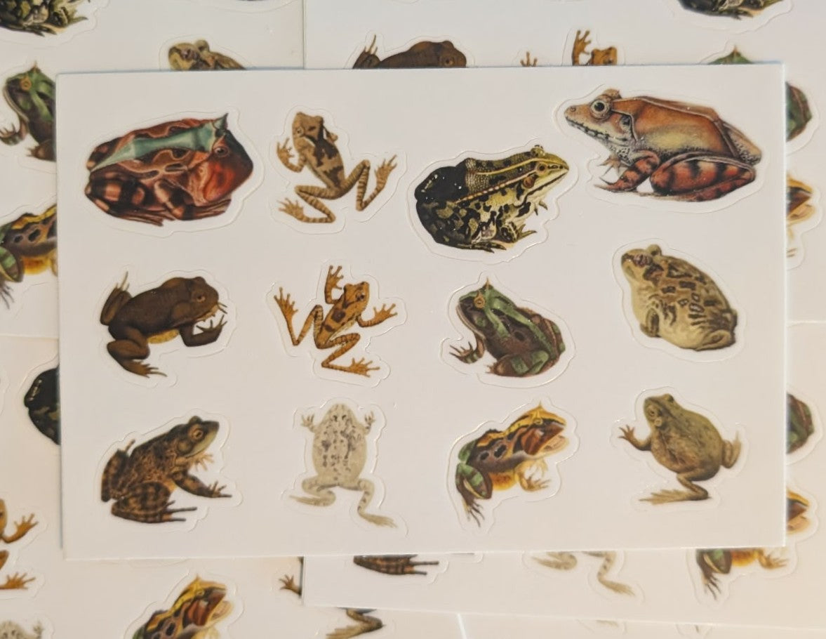 Frog Sticker Sheet