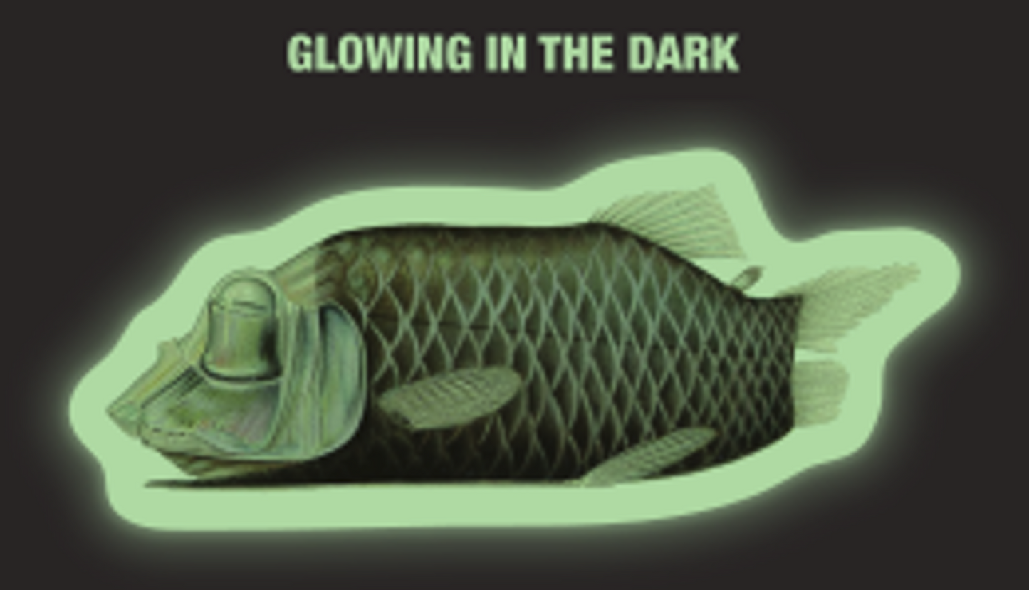 Glow in the Dark Barreleye Sticker