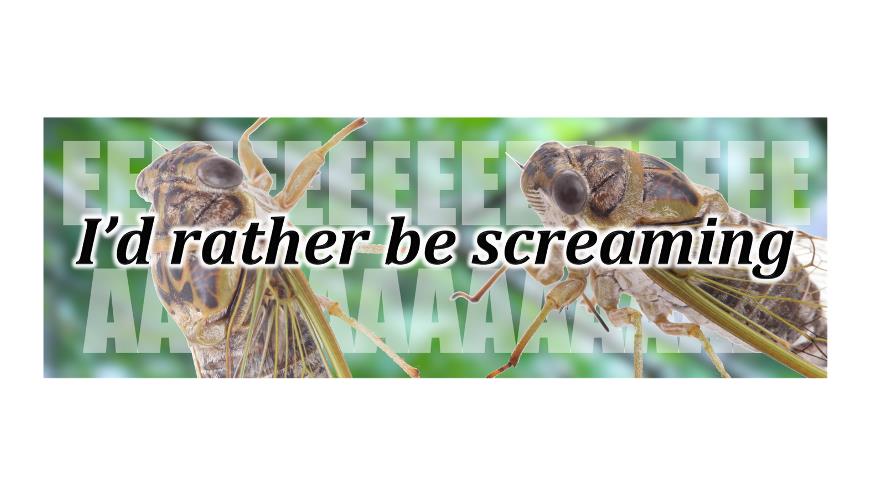 I’d Rather Be Screaming Vinyl Bumper Sticker