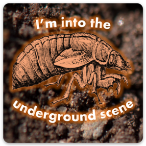 Underground Scene Cicada Vinyl Sticker