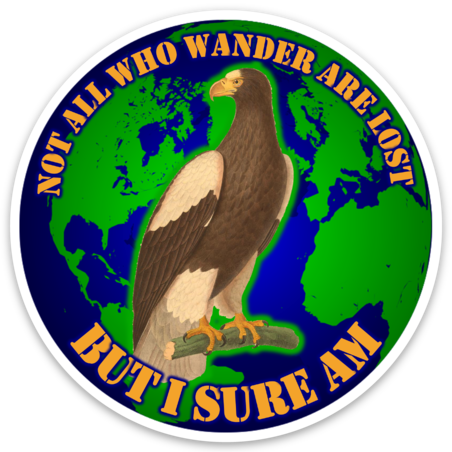 PREORDER (ARRIVES IN OCTOBER) Not All Who Wander are Lost But I Sure Am Vinyl Sticker
