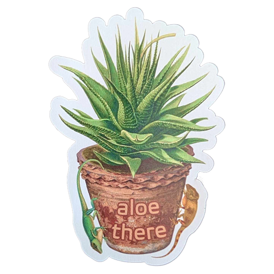 Aloe There Magnet