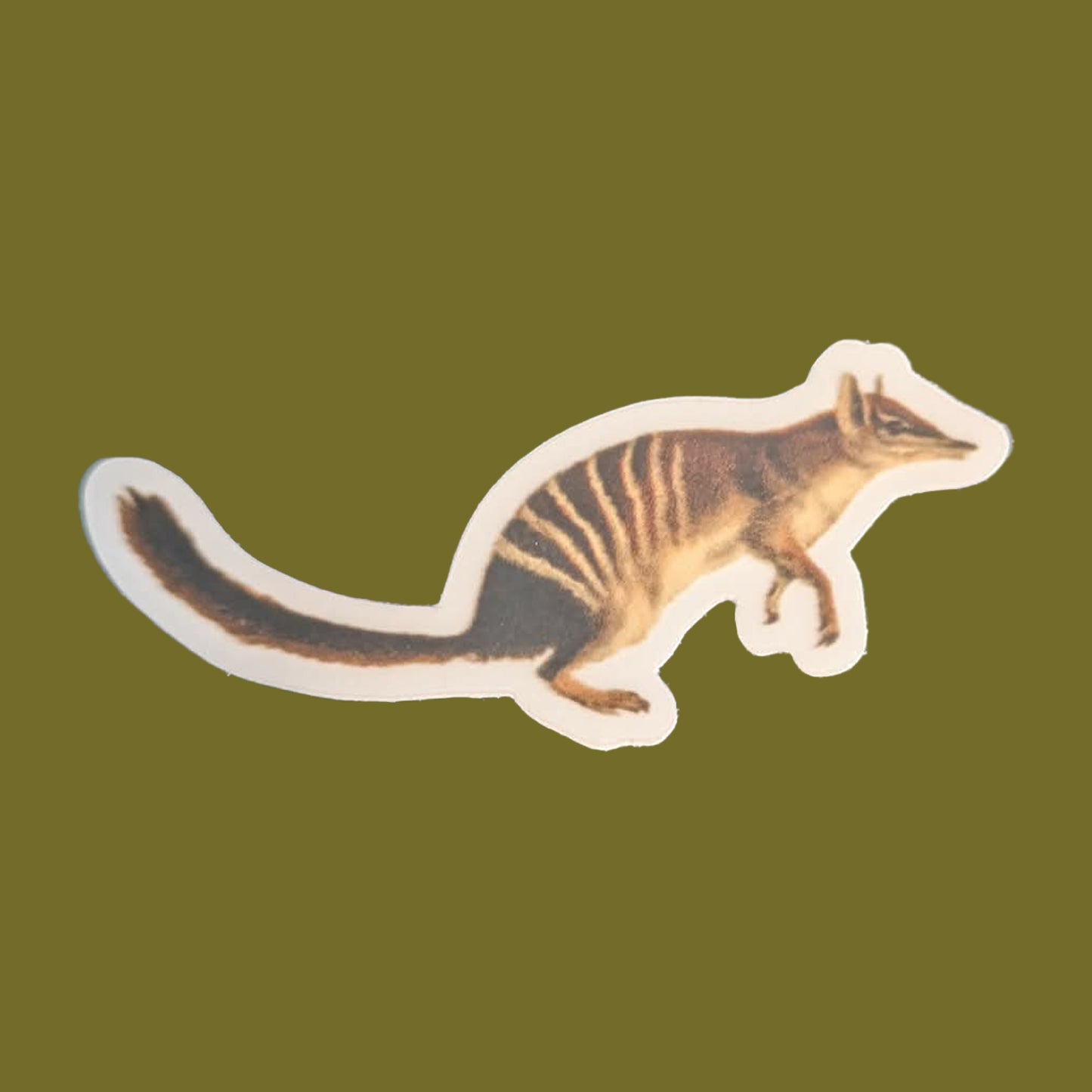 Numbat Sticker