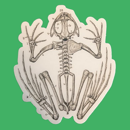 Frog Skeleton Sticker