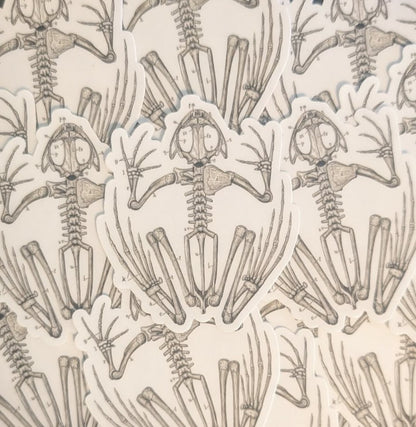 Frog Skeleton Sticker