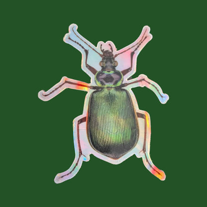 Holographic Beetle Sticker