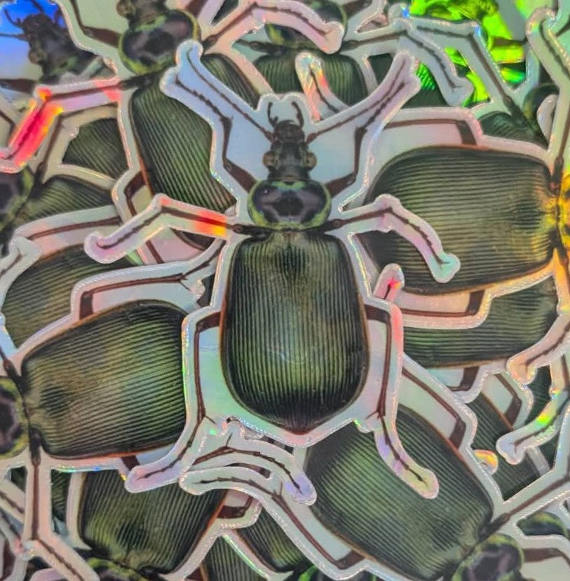 Holographic Beetle Sticker
