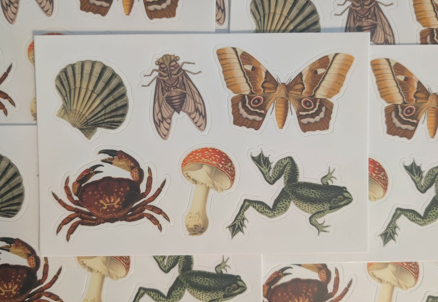 Animals that live in a little wooded cottage by the sea starter pack (Sticker Sheet)