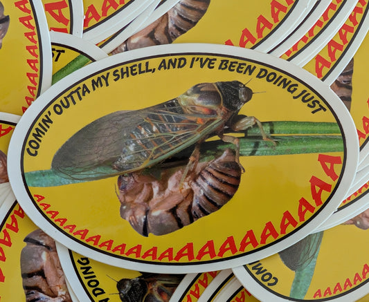 Comin' Out of My Shell and I've Been Doing Just AAAAAAAAAAAAAAAAAAAAAAAAAAAAAAAAAAAAAAAAAAAAAAAAAAAA