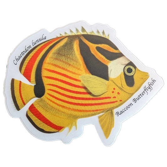 Raccoon Butterflyfish Sticker