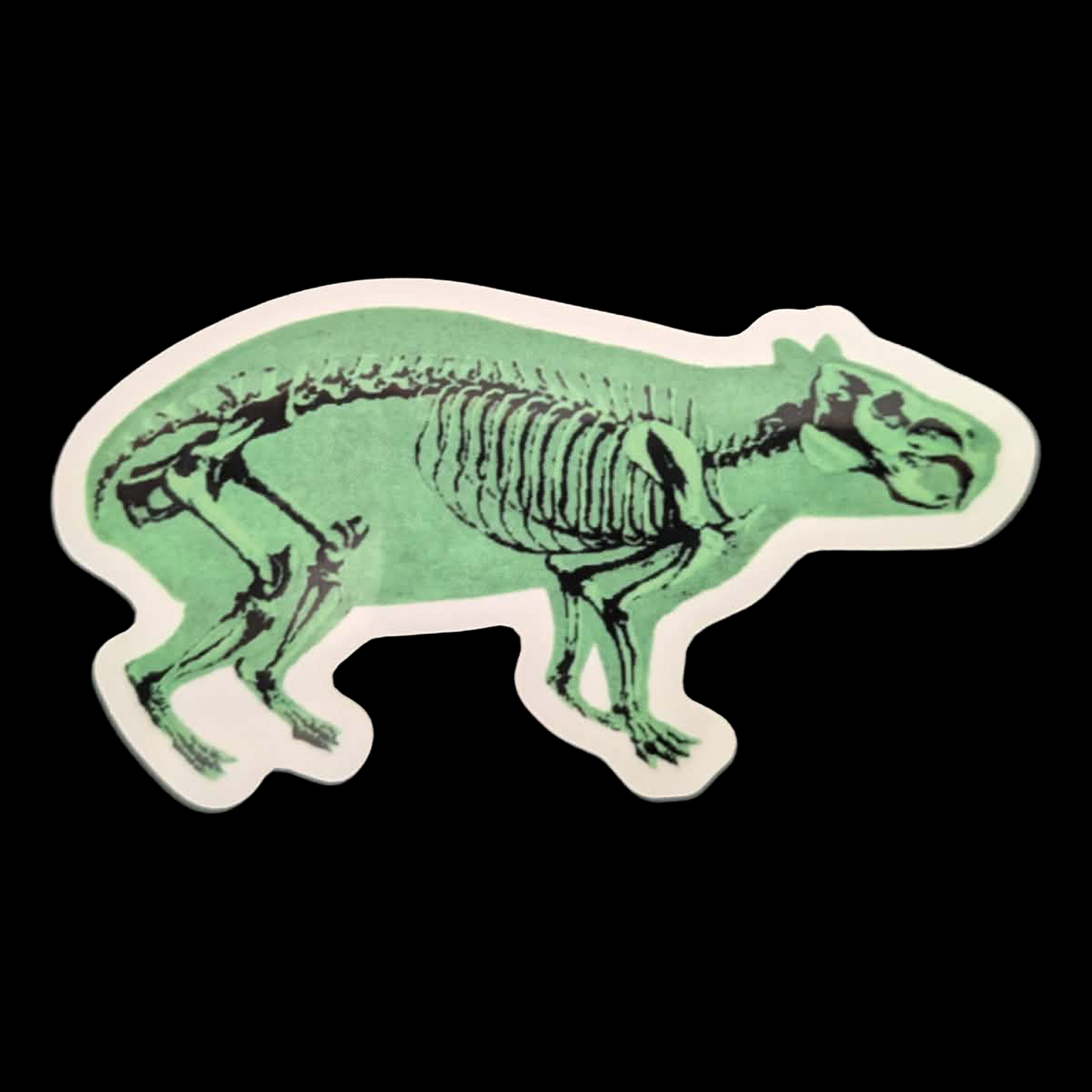 Glow in the Dark Capybara Skeleton | Sticker