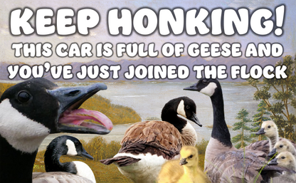 Keep Honking! This car is full of geese and you've just joined the flock - Bumper Sticker