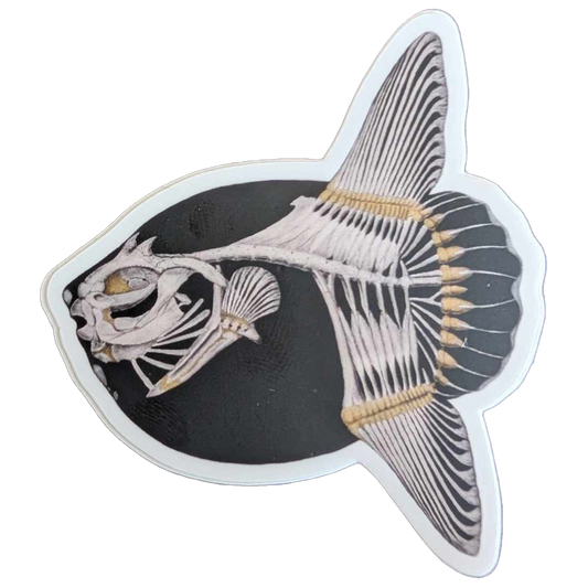 Mola Mola Skeleton Sticker