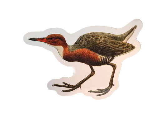 Re-evolving Rail Sticker