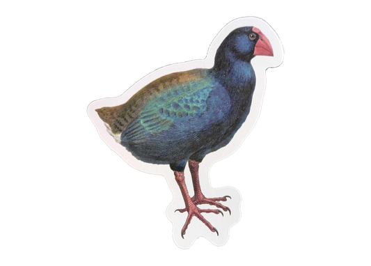 Takahe Sticker