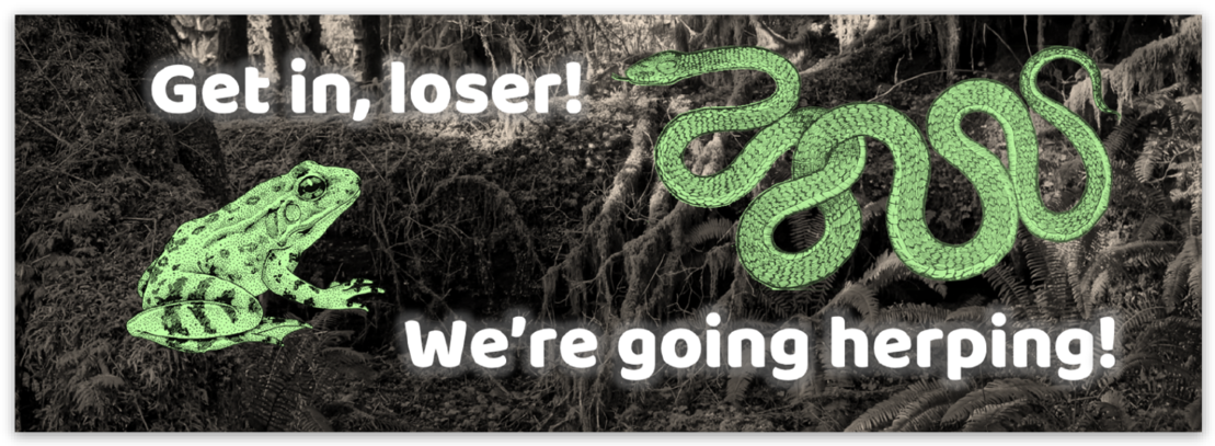We're Going Herping Vinyl Bumper Sticker