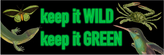 Keep it Wild, Keep it Green Vinyl Bumper Sticker