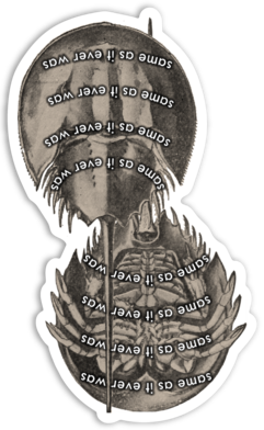 Same As it Ever Was Horseshoe Crab Magnet